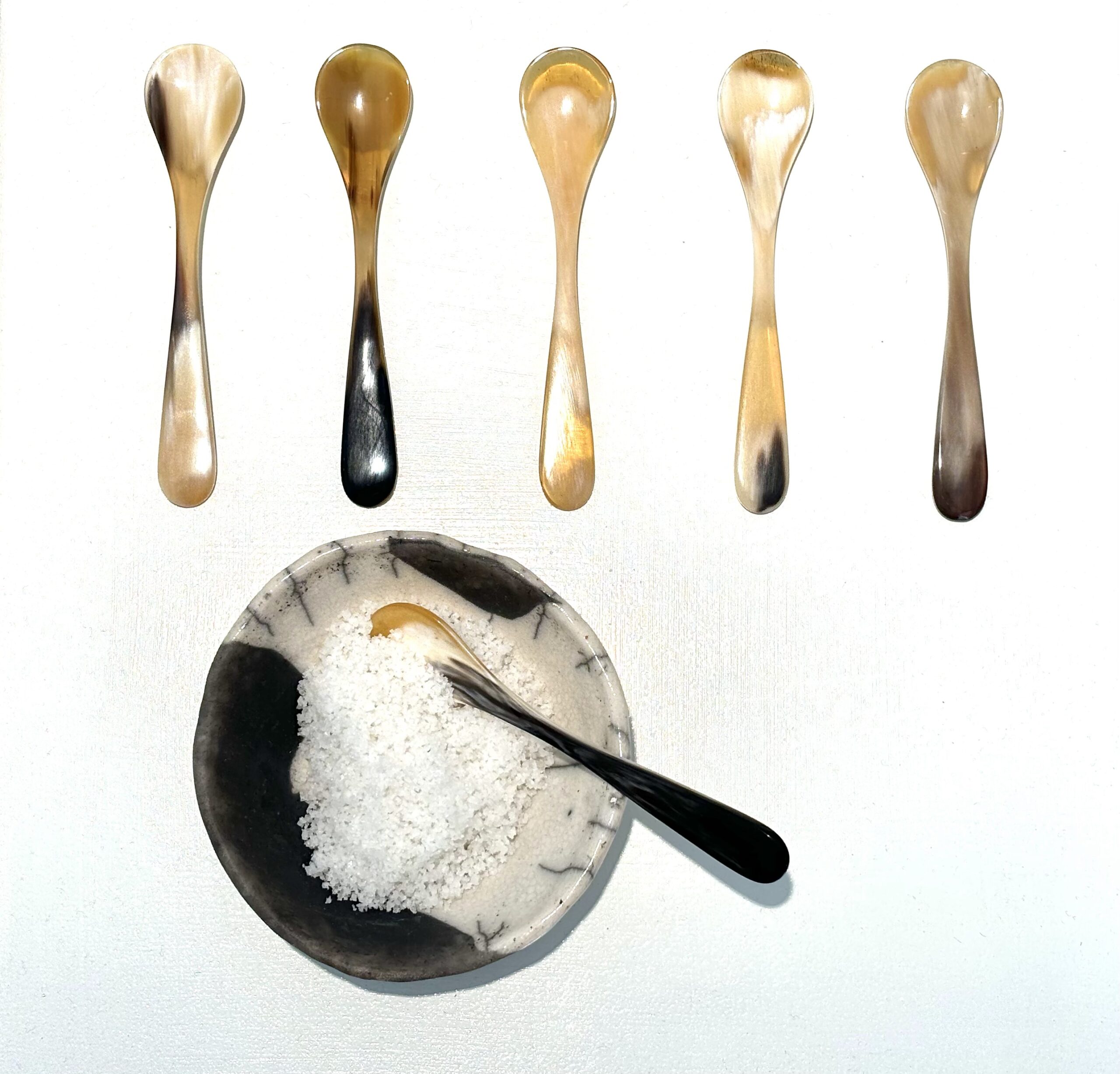 Salzschale Raku mit Hornlöffeln