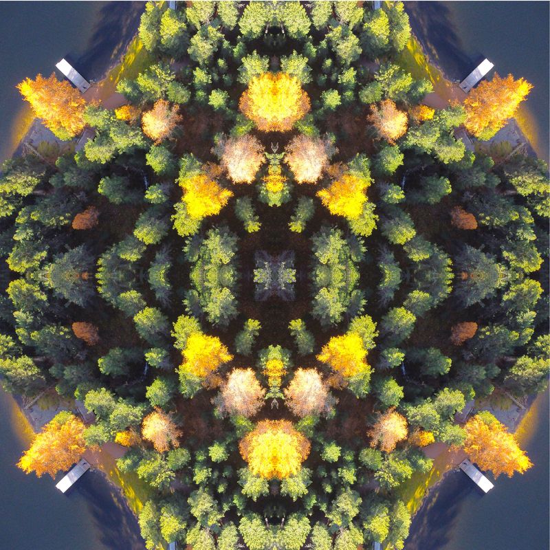 Herbstwald Luftaufnahme Kaleidoskop Engadin